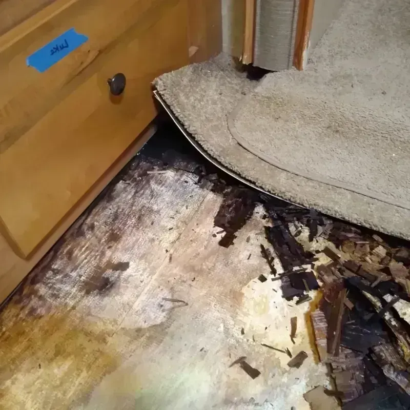 Wood Floor Water Damage in Salisbury, MD